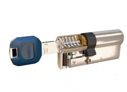 Bombines alta seguridad en San Lorenzo de El Escorial